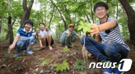 '내가 캔 산삼이에요'