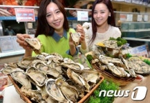 명품서포굴유통복합공간매점 | '유통이력 확인되는 통영굴 드세요'