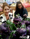 웰빙&힐링농업직판장 | 웰빙채소 콜라비 맛보세요