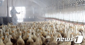 스피드넷(스피드방역) | 논산도 AI차단 방역