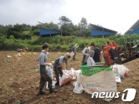 육군제7376부대 보급수송근무대 - 해운대구 중동 | 35사단 장병, 임실군에서 일손돕기