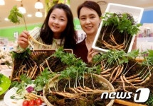 농업회사법인황금새싹인삼농장유한회사 | '새싹 인삼 들여가세요'