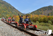 정선레일바이크 30일 개장 10주년 …경제 파급효과만 '1500억원'
