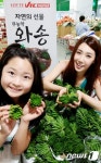 VIC마켓문화비 | 롯데 VIC마켓, 면역력에 좋은 무농약 인증 와송 선보여