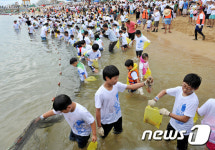'리본단 오징어를 잡아라' …속초 장사항 오징어 맨손잡기 축제