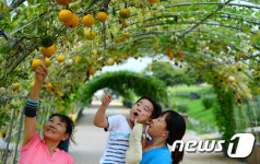 입추 앞둔 하늘공원 나들이