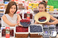 '싱싱함이 다르다'