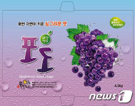 빛들포도즙 | 화천군, 과수 통합 포장박스 개발···‘시장 경쟁력 강화’