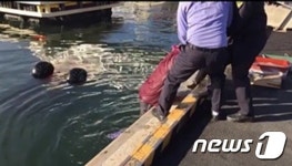 창성오트바이 | 통영해경, 바다 빠진 4륜오트바이 운전자 구조