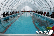 북적되는 평창송어축제 실내 낚시터