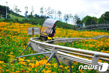 Foto hasil pencarian Naver 5