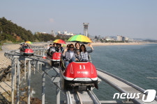 Фото из результатов поиска Naver 1