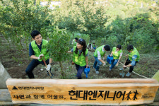 사도씨ENG | 현대ENG, 외국인 직원과 하늘공원서 생태숲 조성 앞장