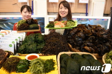 서울소아과 면역스테이션 | '추운 겨울 면역력 걱정하지 마세요'