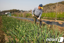 풍연농장최우제 | '풍족한 농사를 위해'