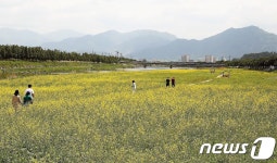 Naver search result photo 2