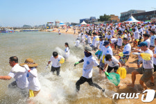 오징어 잡으러 바다로 ‘첨벙’