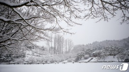 Foto aus Naver-Suchergebnissen 5