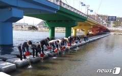 Naver хайлтын үр дүнгийн зураг 1