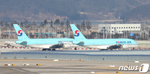 대한관광 브이아이피 에어항공 | 대한항공도 관광비행 뛰어든다…A380 대형기 투입 유력