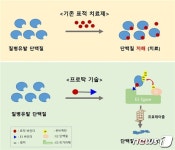 유니온푸드 동아화학 주식회사 | 화학연, 동아에스티에 프로탁 기술 적용한 항암제 기술이전