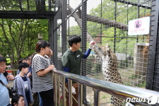 Foto hasil carian Naver 2