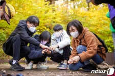 숲사랑엔지니어링유 | 산림청, 한국숲사랑청소년단 '가족과 함께 숲 탐방' 운영
