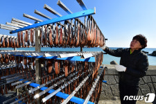 항아리웰빙참과메기 | 웰빙식품 과메기