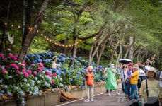 รูปภาพผลการค้นหา Naver 2
