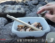 "5만원짜리 해산물이 고작" '또 바가지' 논란 제주 용두암 노점 철거