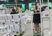 하나로수산진천점 | 진천군 오이생산자단체, 서울 가락동 농수산물시장 경매 체험