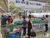 충주농협기업도하나로마트 | 충주 대학찰옥수수 농협 하나로마트 양재·창동점서 판촉 행사