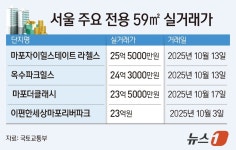애터미 마포 0.3 센터 | 3.3㎡당 1억 마포·성동 전용 59㎡, 정부 규제 이후 거래 '사라졌다'
