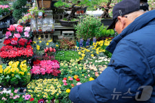 마당에 심을 봄을 찾아