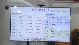 민속식물송이버섯직판장 | 명품 ‘양양송이’ 첫 공판, 1등급 1Kg 1,100,000원!