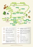 속초시, 친환경 세상과 함께하는 6월 노리숲길 숲속마켓 개최