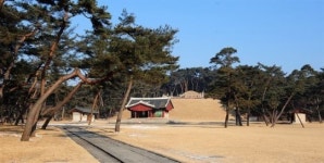 물안개가요주점 | 여명의 순간, 꿈속 같은 물안개가…