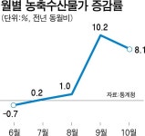 삼가 농수산물 상사 | 김장철 앞 뛰고 또 뛴 농수산물값