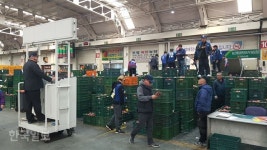 큰동해500번청과 | 안동, 사과 시장 큰손 됐다