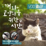 떠돌이 개 사연을 담은 영화 '개와 고양이를 위한 시간' VOD 시작