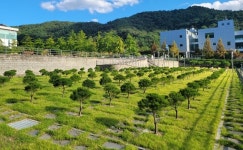 용인도시공사, 평온의숲 수목장 4위형 운영 시작