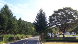 청주 미동산수목원 진입로, 명품 전나무 숲길로 변신