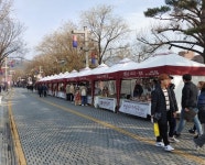Foto aus Naver-Suchergebnissen 1
