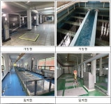 인천 공촌·부평 등 고도 정수장 7곳서 유충발견...주말까지 조사 완료