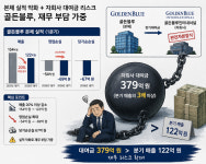 블루홀딩스(주) 창녕1공장 | "자회사에 빌려준 돈 어쩌나"…골든블루, 300억대 회수 리스크