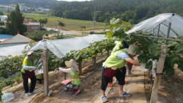 파주LD유통 | 농협유통, 가뭄 피해받는 파주 방문해 농촌돕기 실시
