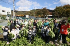 운문면 오진리 경로당 동네체육시설 | 청도군, 운문 오진리서 ‘친환경농업체험 행사’