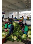 다올푸드(주) 한국원자력환경공단 | 한국원자력환경공단, 방폐장 주변지역 농산물 판로확보 지원