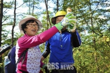 "송이향 따라 봉화로 떠나보자"···봉화송이축제 30일 개막