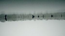 나뚜루광주아쿠아시티점 | 국립아시아문화전당 '아쿠아 천국'展 9일 개막